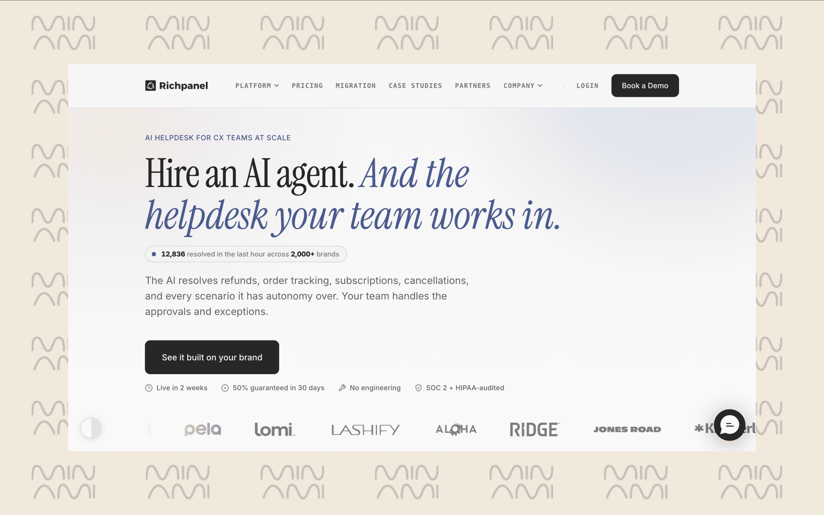 richpanel-ai.png